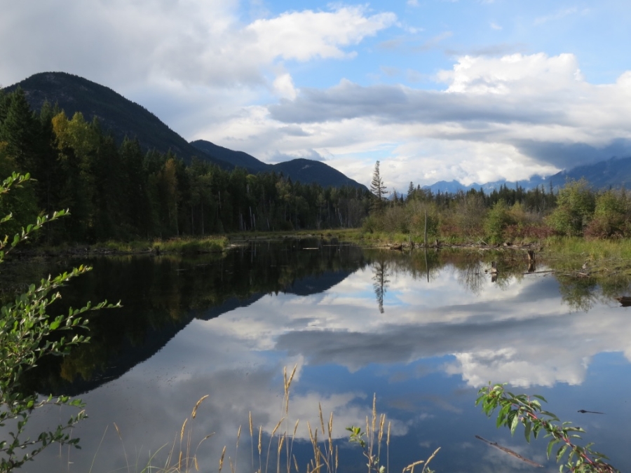 This New Year, Resolve to Reduce Your Environmental Footprint